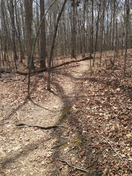 trails